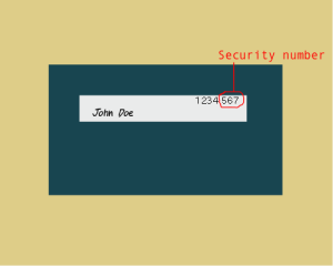 Security number/security code. The last three digits of the number on the back of your card.