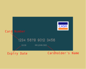 Card number, Expiry date, Cardholder's name